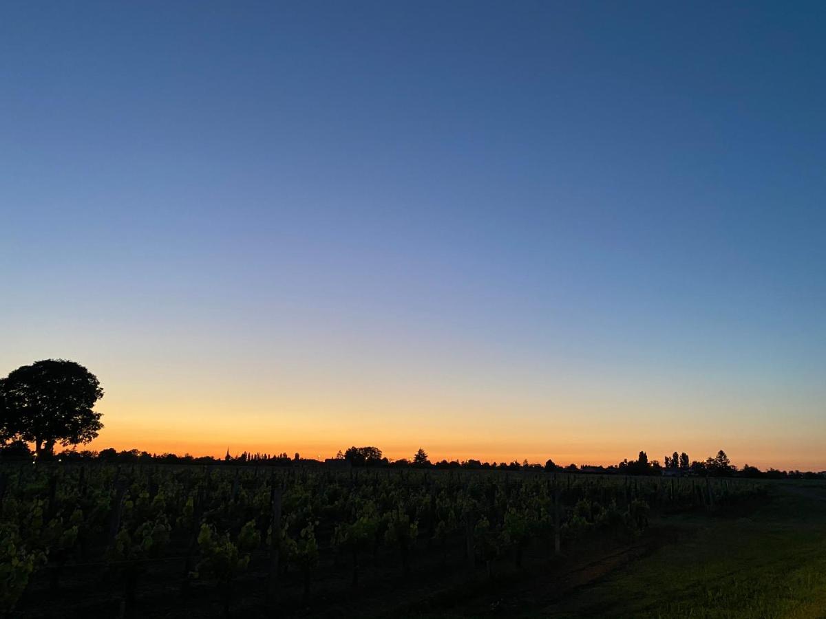 Clos De Bertinat Saint-Sulpice-de-Faleyrens Exteriör bild