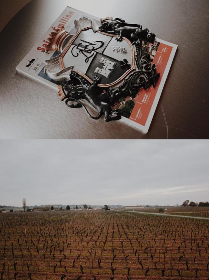 Clos De Bertinat Saint-Sulpice-de-Faleyrens Exteriör bild